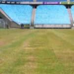 Novo gramado da Arena do Grêmio